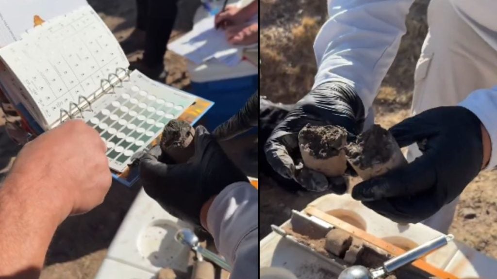 Pessoas analisando amostras de madeira fossilizada em campo, relacionadas à Formação Durupinar no Monte Ararat, na Turquia.